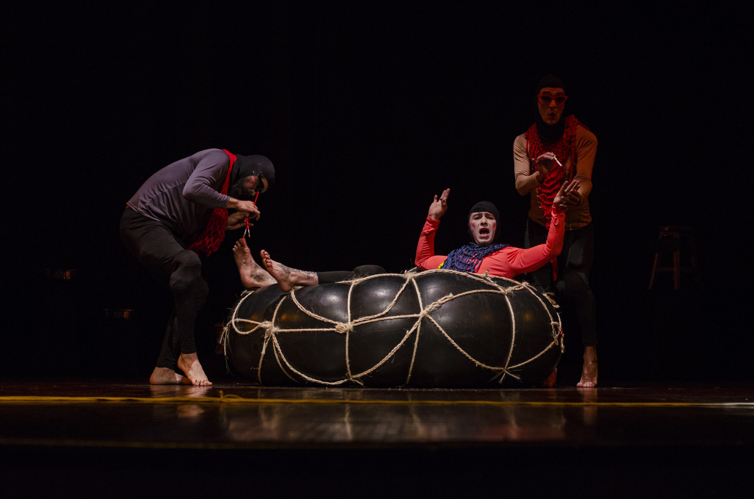 Los Pájaros De La Memoria Teatro Facultad De Artes (13)