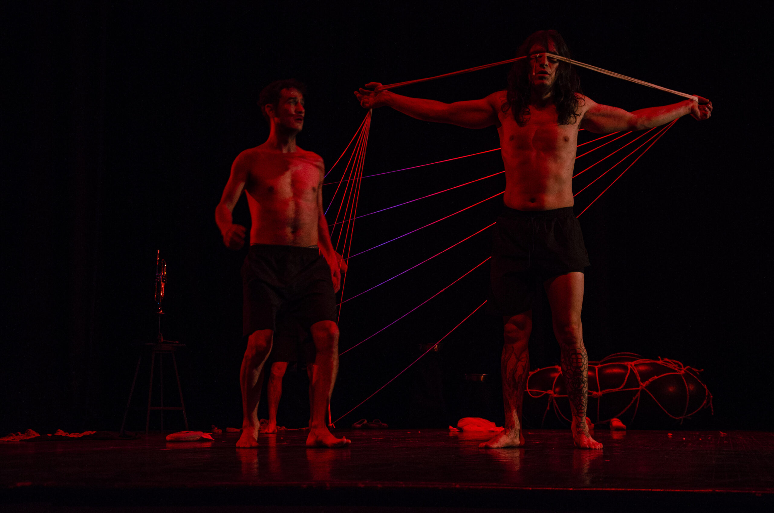 Los Pájaros De La Memoria Teatro Facultad De Artes (32)